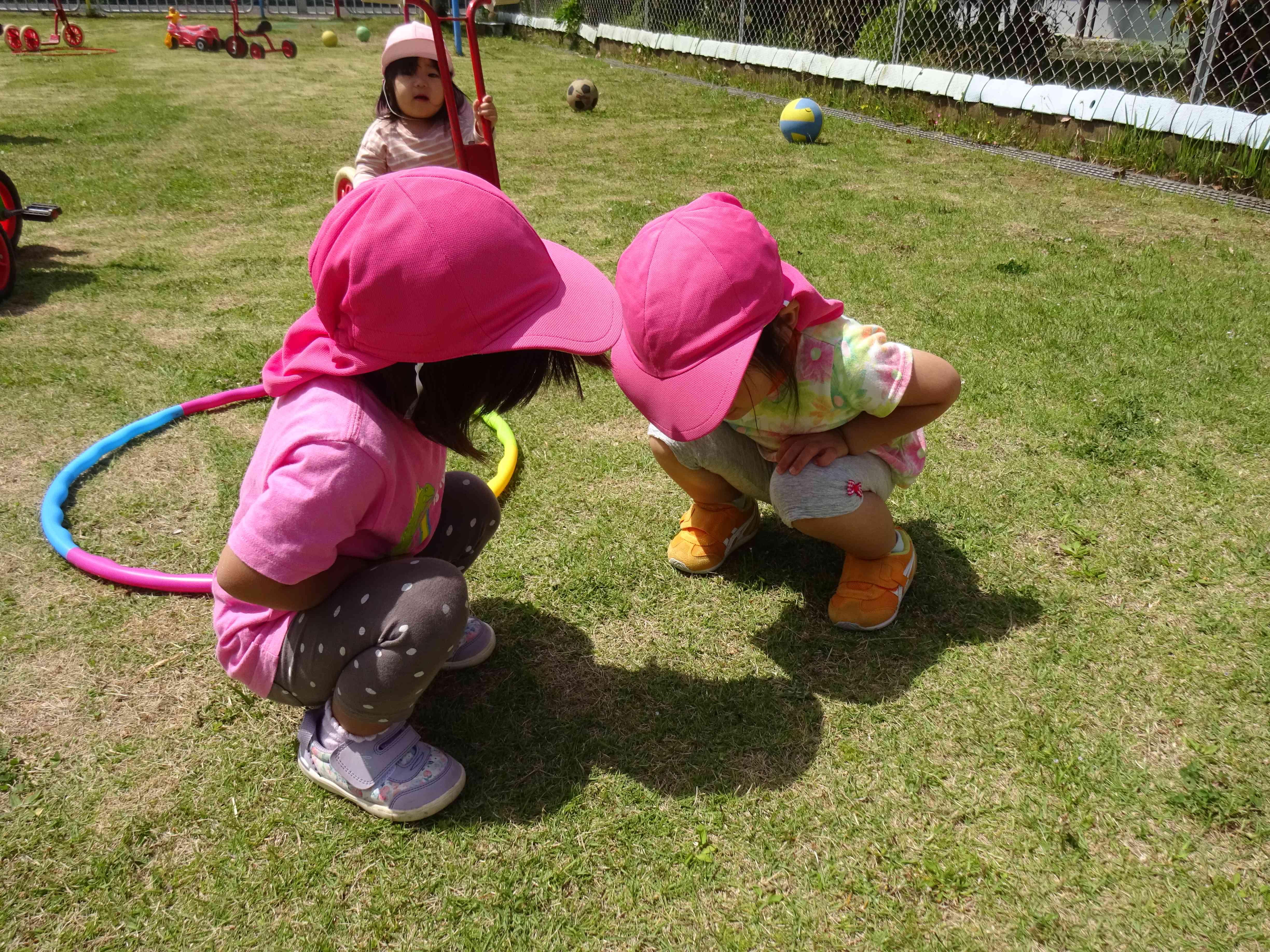 ぽかぽか陽気のお庭